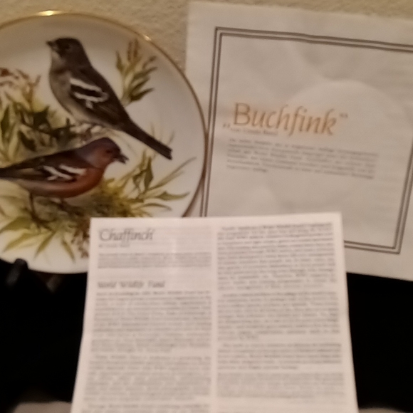 Collection Plate - Picture 8 of 10